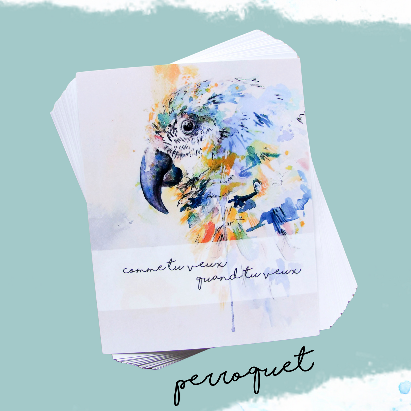 couverture du bullet journal non relié perroquet