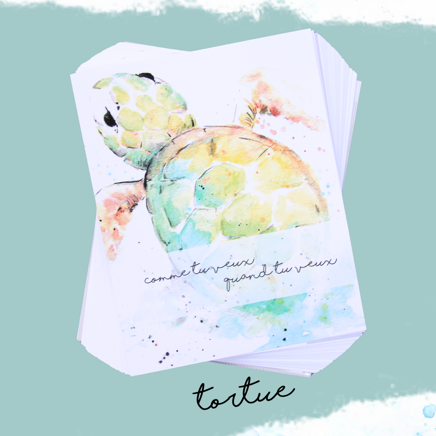 couverture du bullet journal non relié tortue