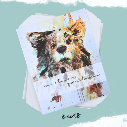 Agenda planificateur • Non daté • Non relié • Non perforé